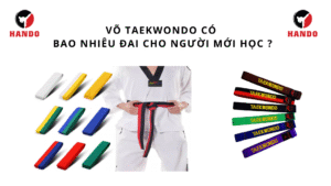 Võ Taekwondo có bao nhiêu đai