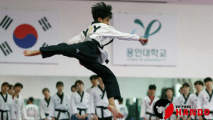 taekwondo