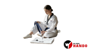 võ taekwondo