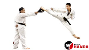 Võ taekwondo