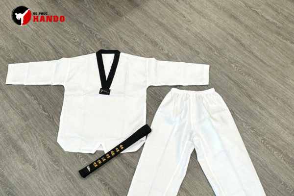 Top 10 Mẫu Võ Phục Taekwondo Đẹp, Chính Hãng Mới Nhất 2026