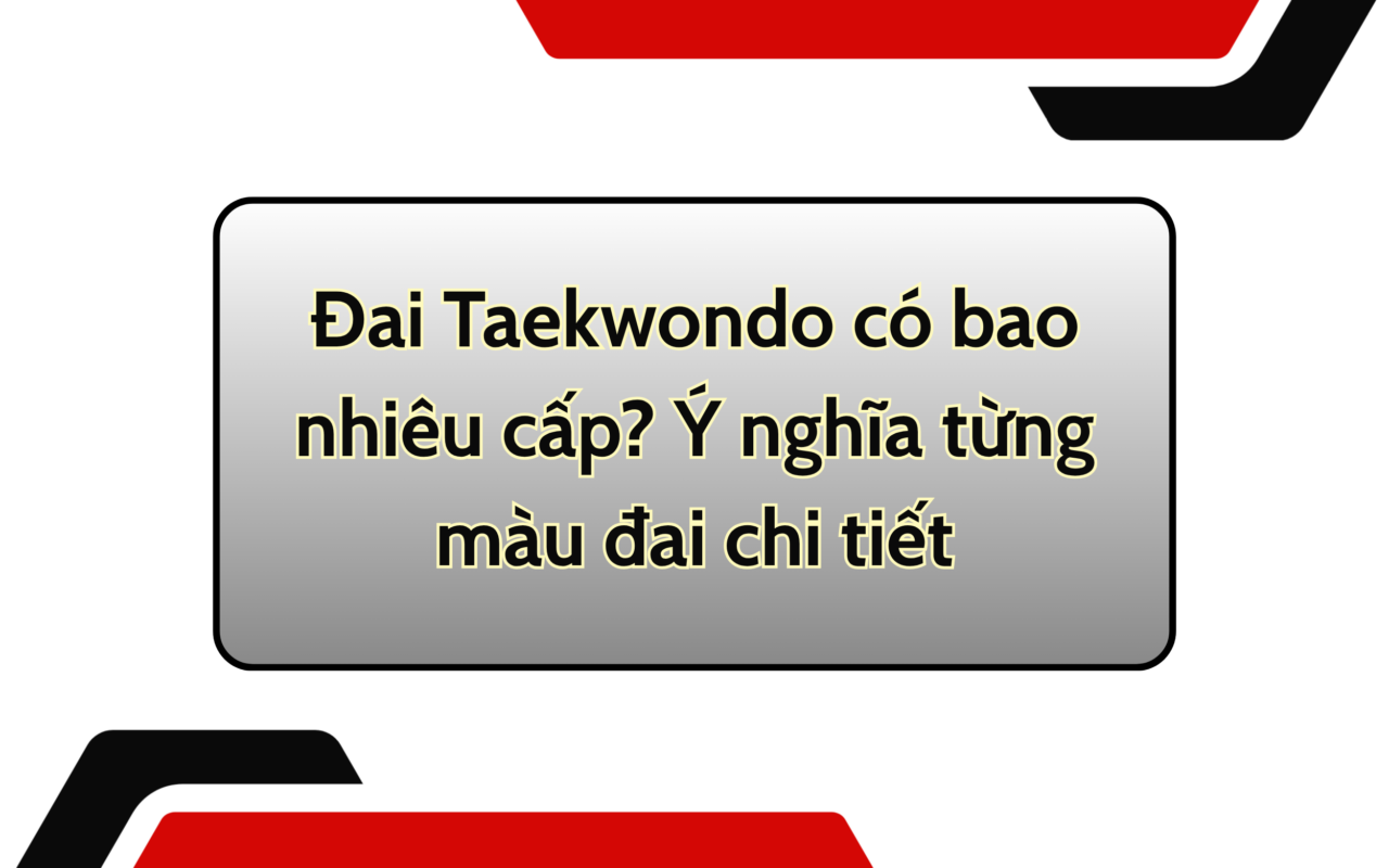 Đai Taekwondo có bao nhiêu cấp? Ý nghĩa từng màu đai chi tiết