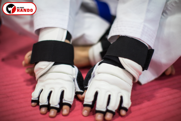 Găng tay Taekwondo loại nào tốt? Kinh nghiệm chọn mua chuẩn