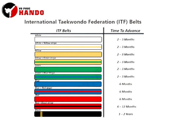 Đai Taekwondo có bao nhiêu cấp? Ý nghĩa từng màu đai chi tiết