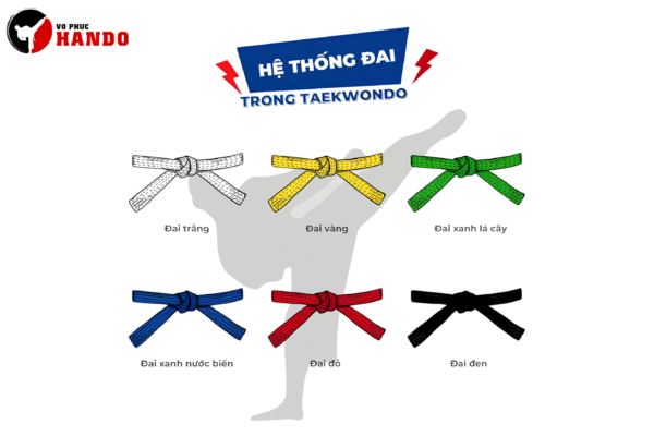 Thi lên đai Taekwondo cần chuẩn bị những gì? Hướng dẫn chi tiết 2026