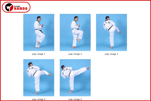 Yop Chagi là gì? Cách tập đá ngang Taekwondo đúng tư thế